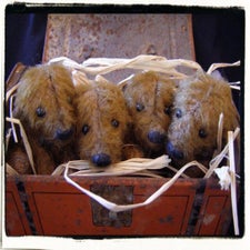 4bearsinchest-2.jpg