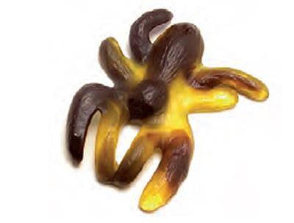 Araignée XXXL +/-60gr 1Pcs