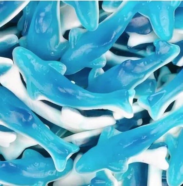 Requins Bleu +/- 100gr