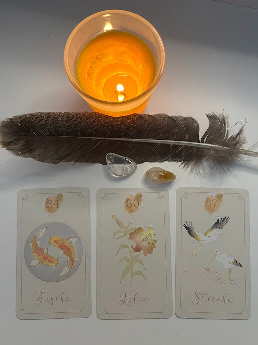 Kartenreading 5 Fragen