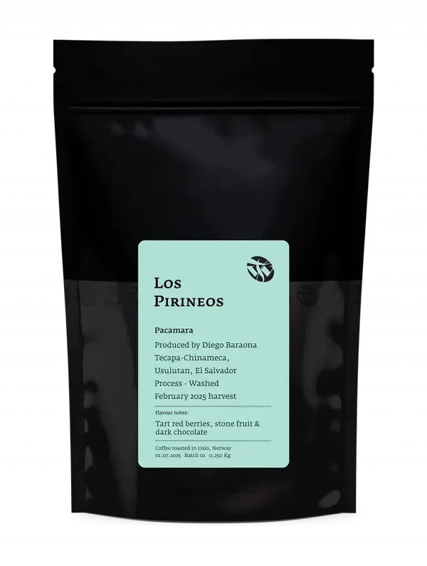 Los Pirineos Pacamara