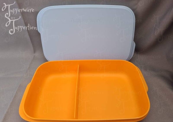 2 vakjes lunchbox  oranje/blauw