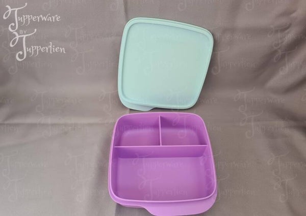 3 vakjesdoos vierkant blauw/paars