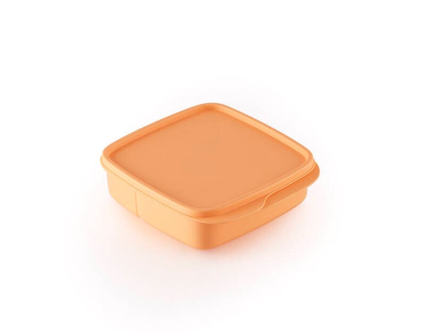 Vakjeslunchbox vierkant zalm