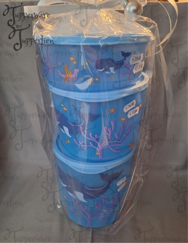 Set Oceaan 950ml - 2.1L - 3.3L
