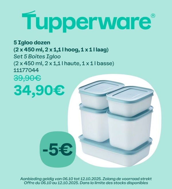Set Igloo Dozen