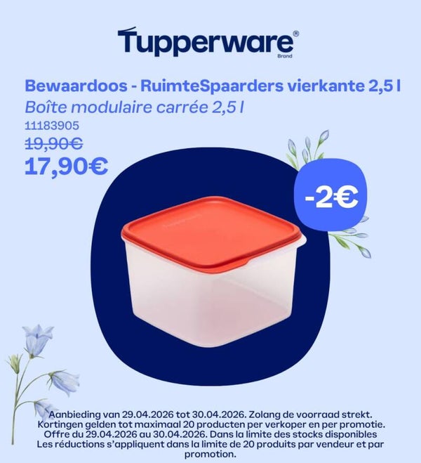 Bewaardoos - RuimteSpaarders vierkante 2,5 l