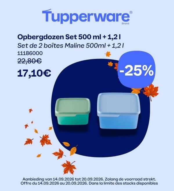 Opbergdozen Set 500 ml + 1,2 l