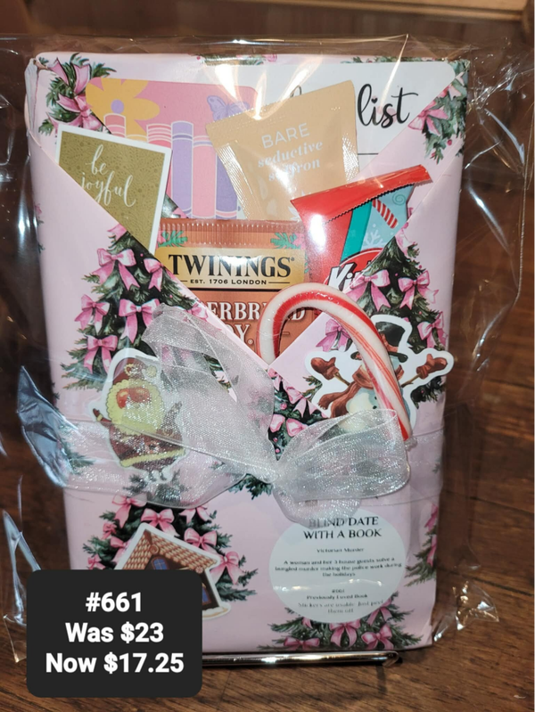 Christmas Wrapped Blind Date With A Book #661