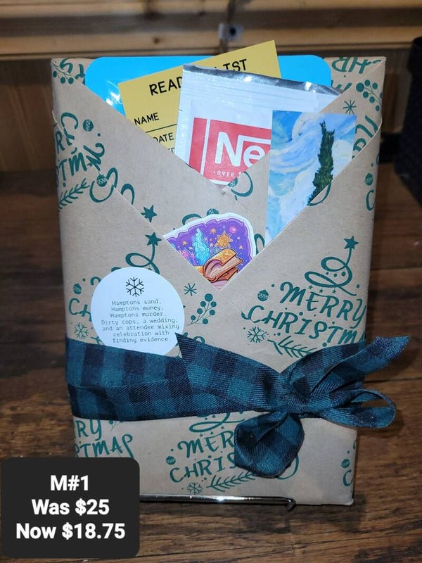 Christmas Wrapped Blind Date With A Book