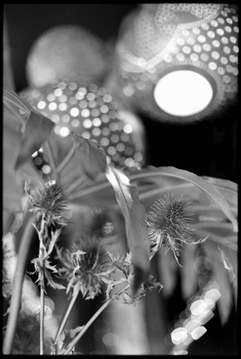 photographie argentique, Amsterdam, street-photography, nikon df, film, développement argentique