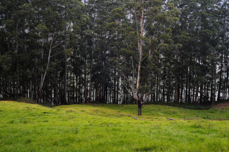 photographie, nature, Inde, India, couleur, reportages, portraits