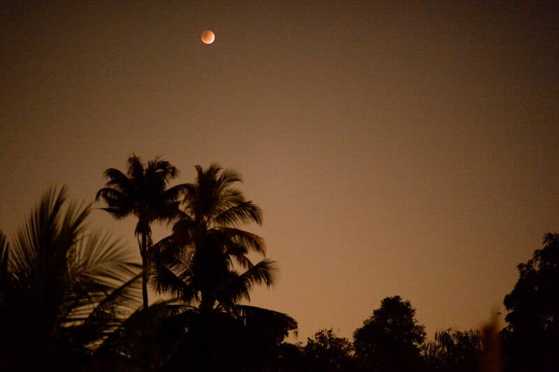 photographie, nature, Inde, India, couleur, reportages