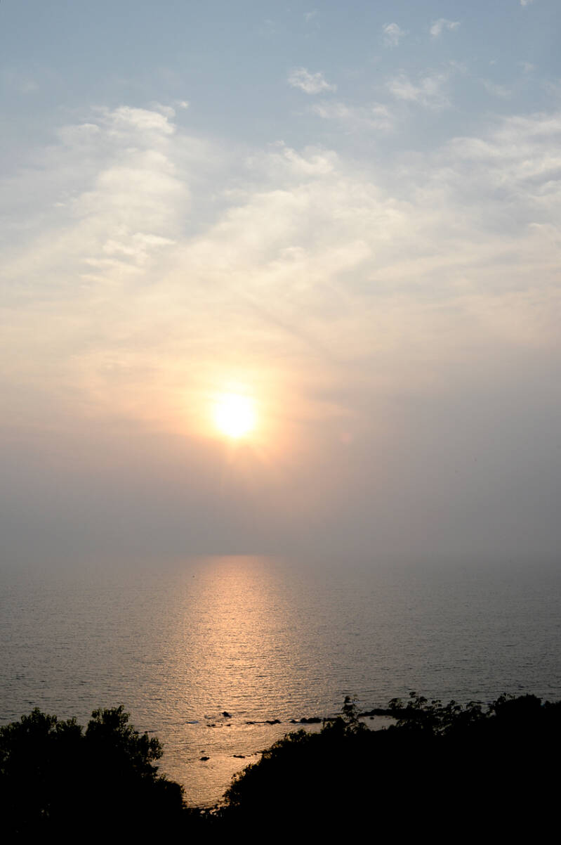 photographie, nature, Inde, India, couleur, reportages