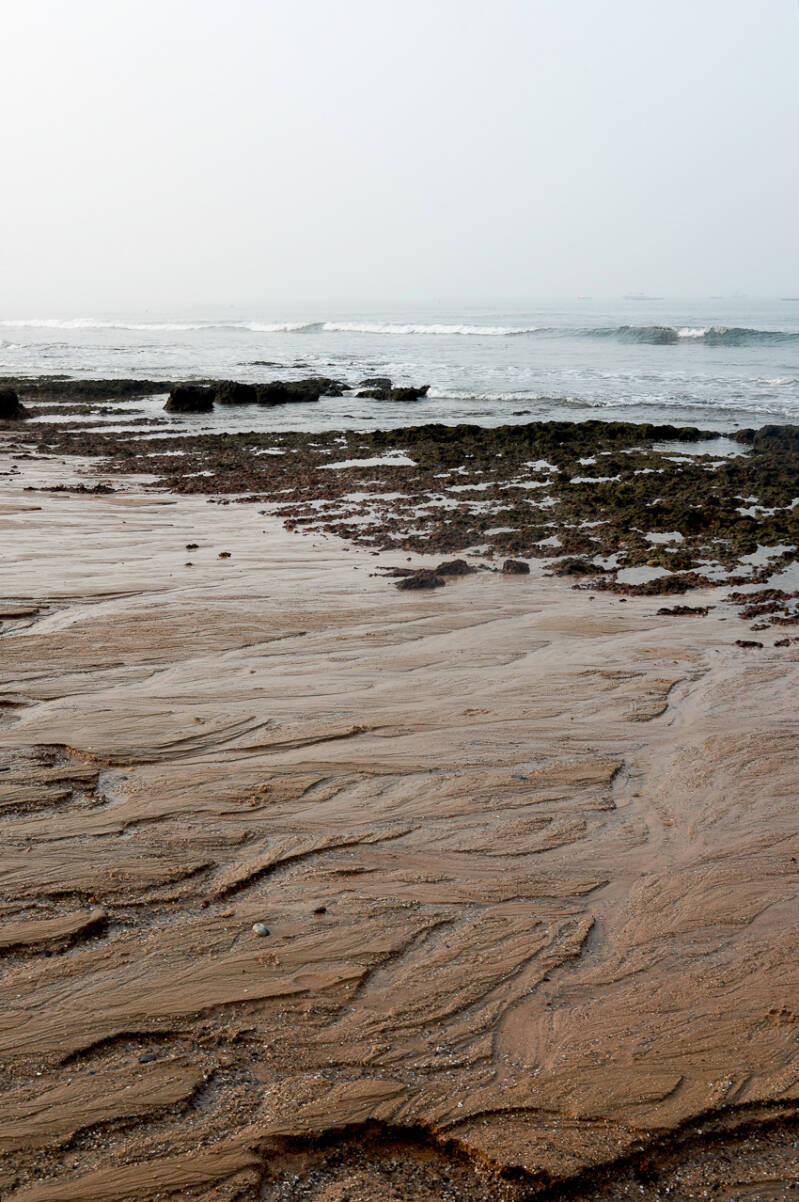 photographie, nature, Inde, India, couleur, reportages