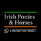 J. Naughton Equine Ltd logo