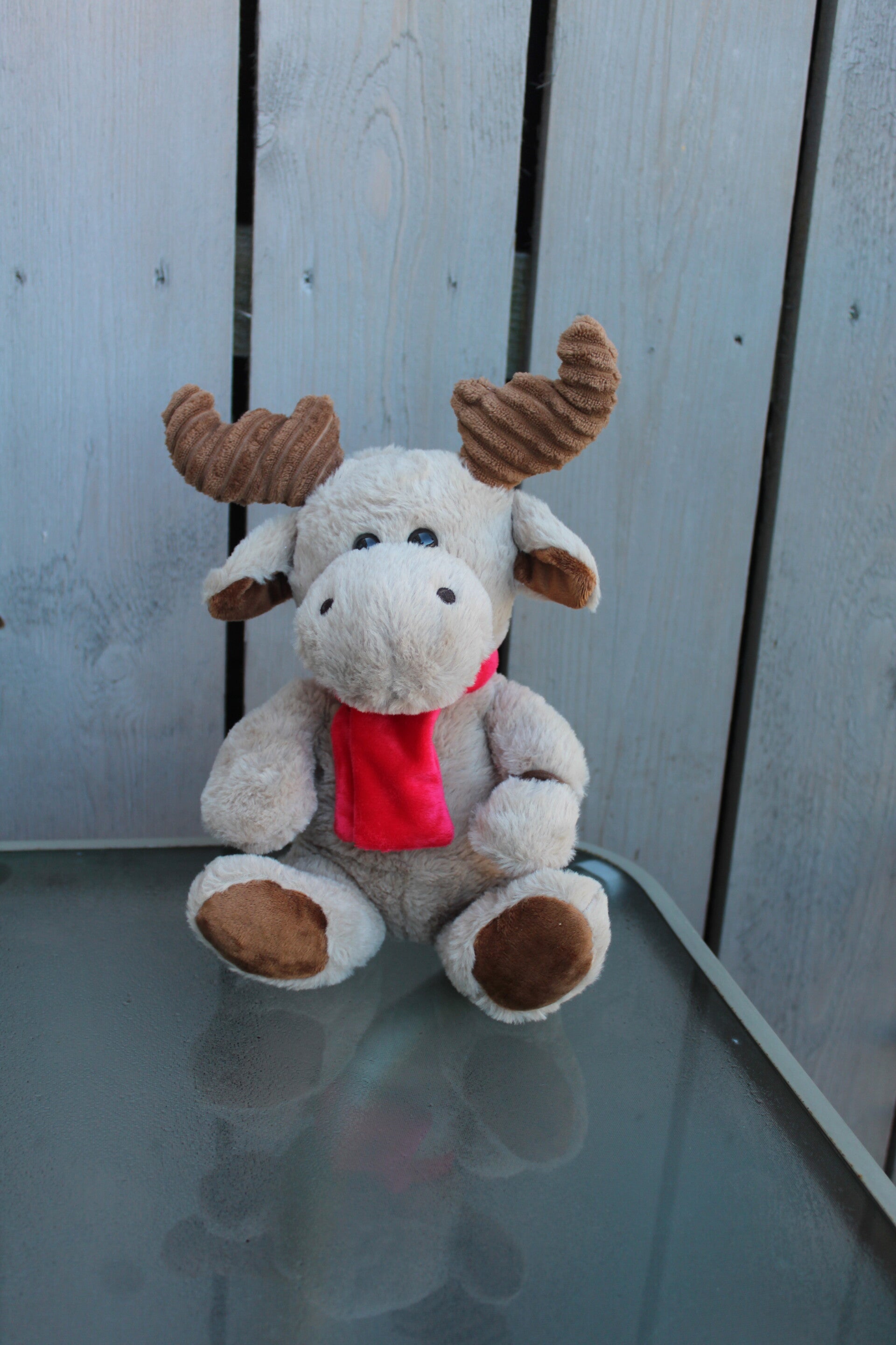 Reindeer #10