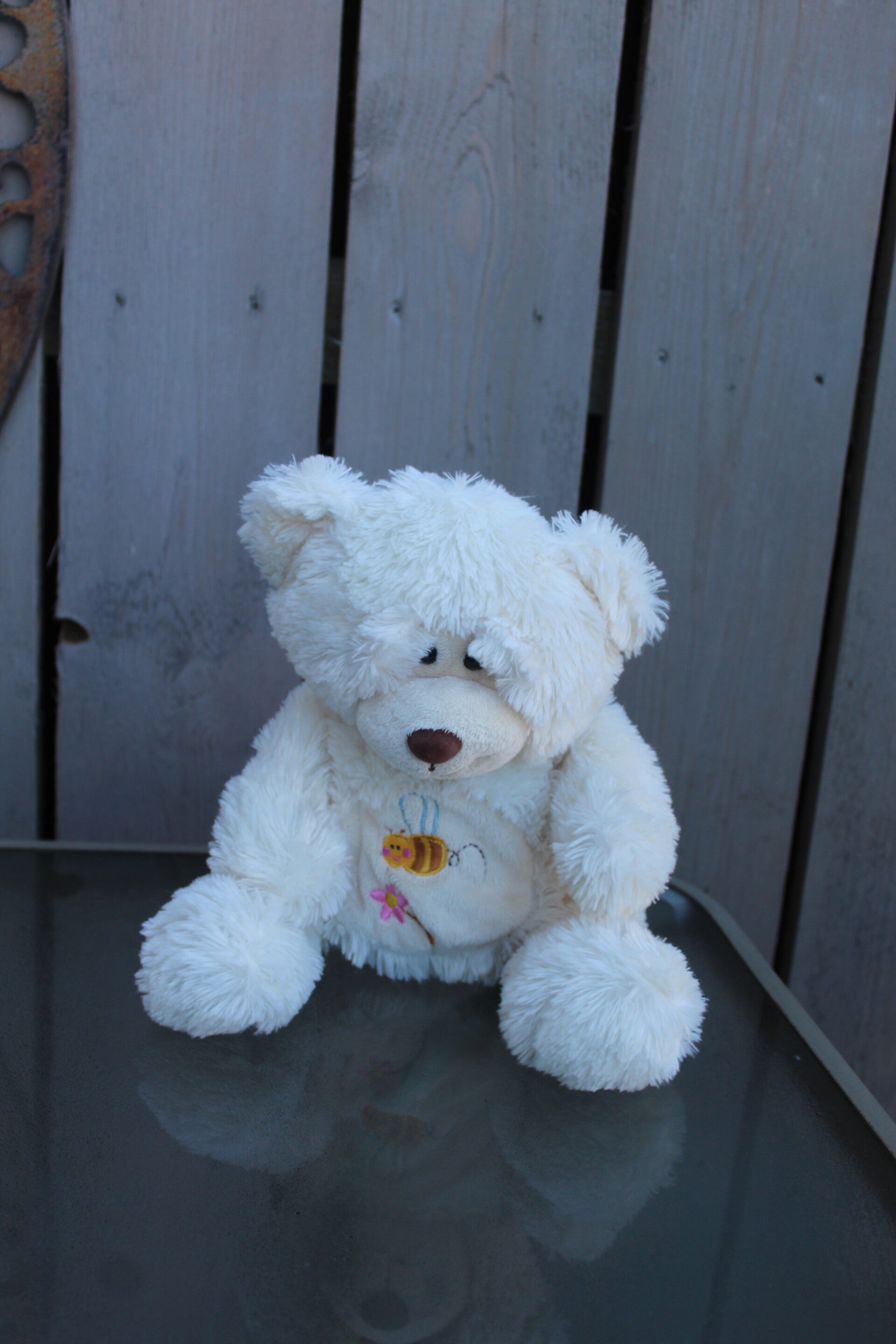 Bear #11