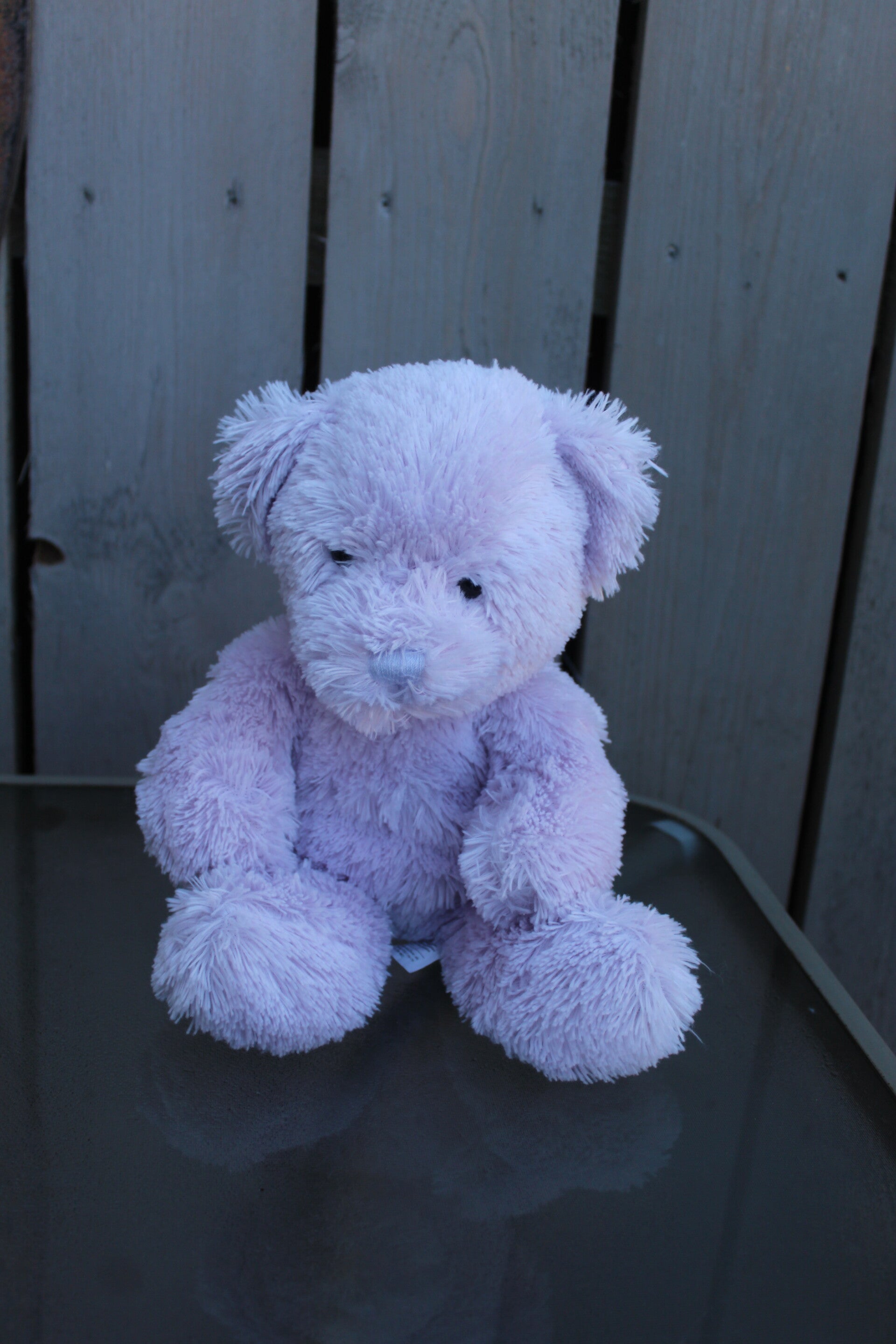Bear #12