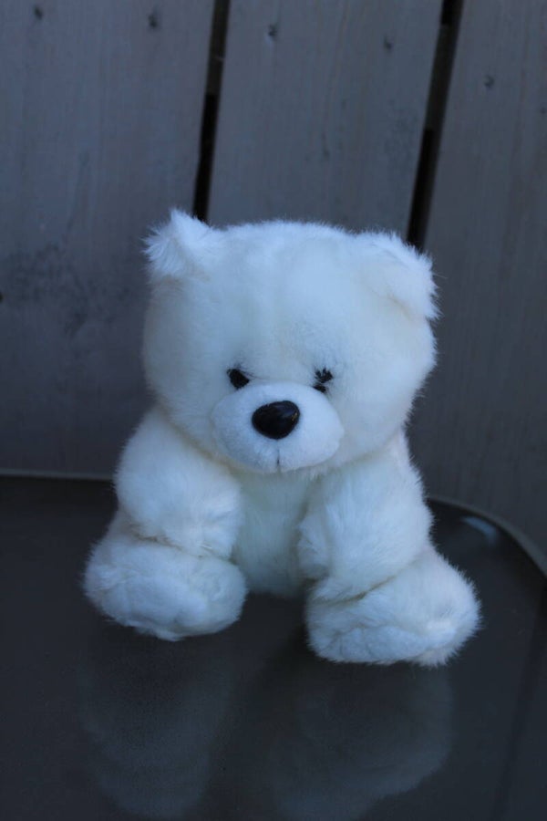 Bear #23