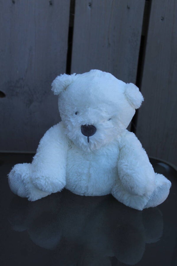 Bear #25