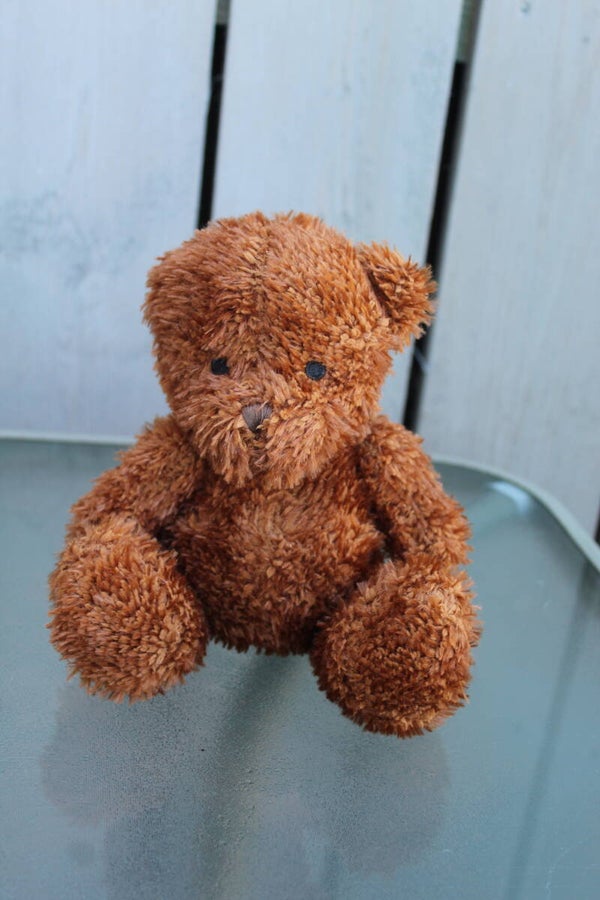Bear #27