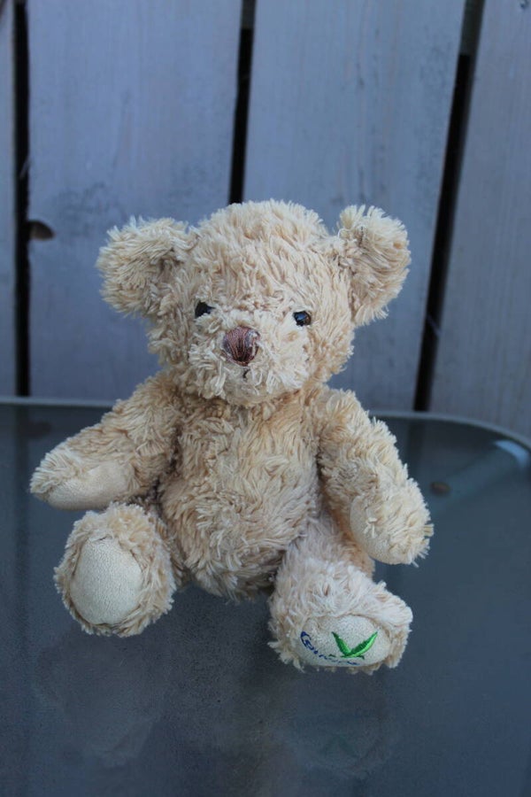 Bear #28