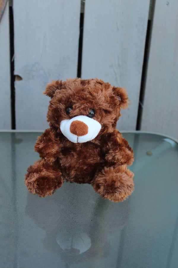 Bear #32