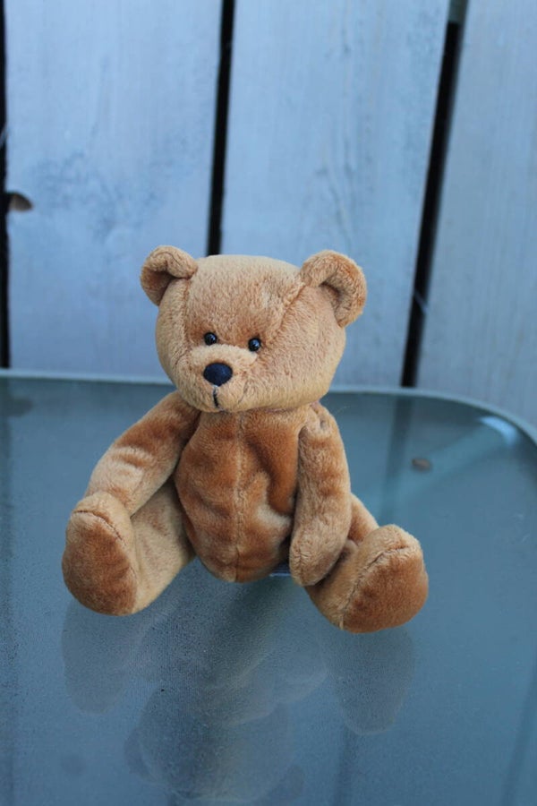Bear #35