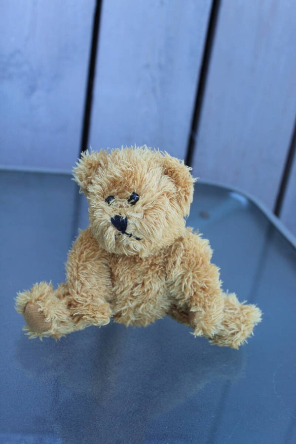 Bear #36