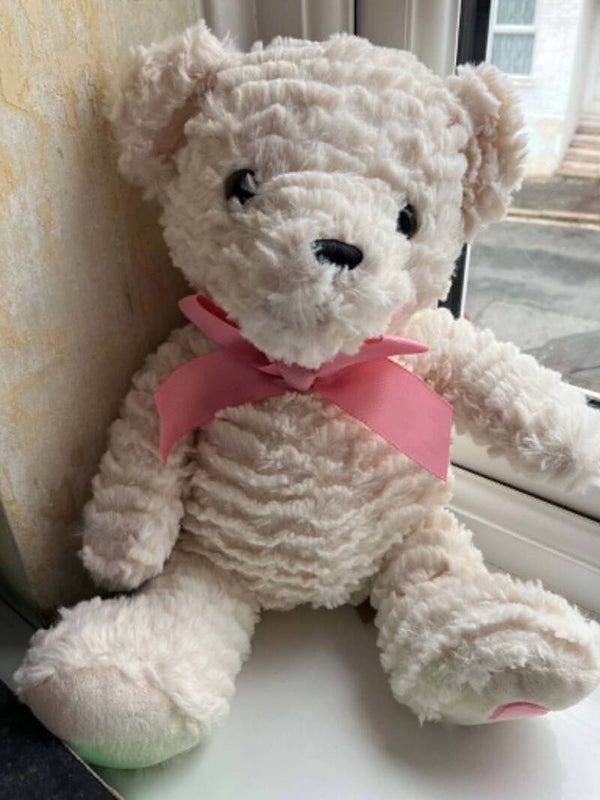 Bear #15