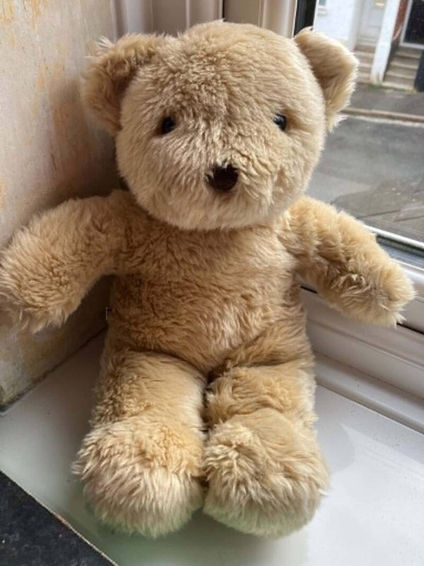 Bear #16