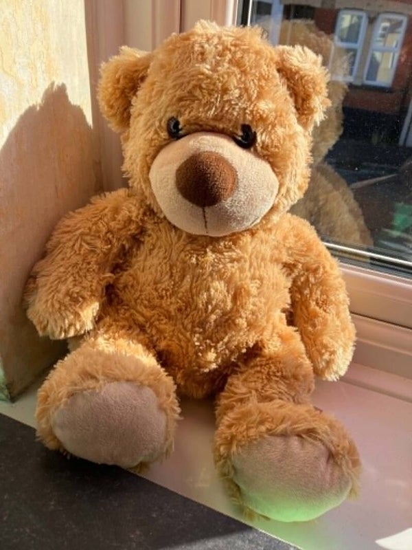 Bear #17