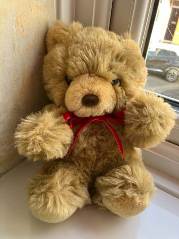 Bear #18