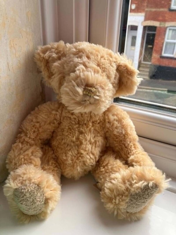 Bear #19