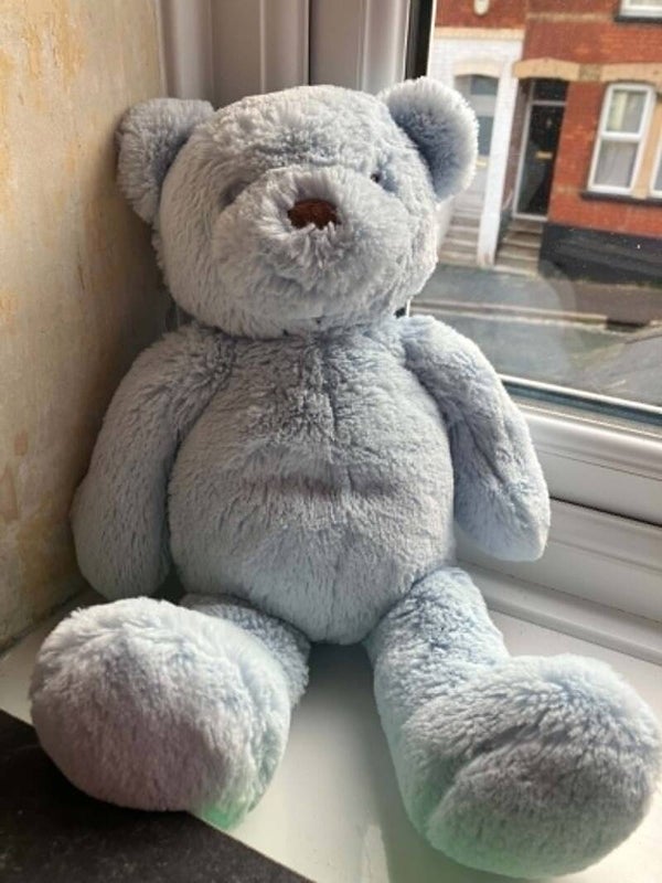 Bear #20