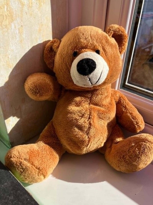 Bear #21