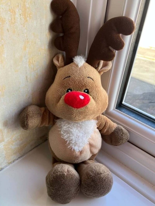 Reindeer #22