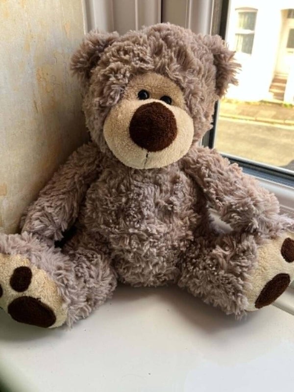 Bear #23