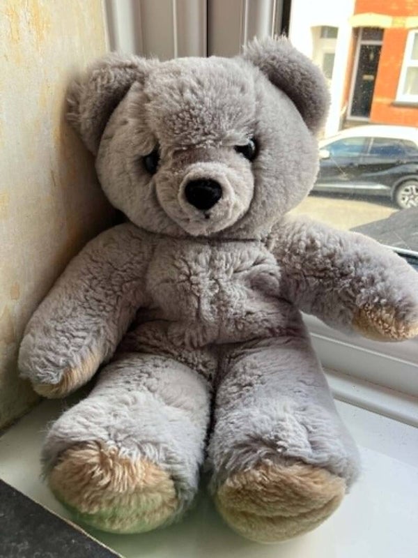 Bear #39