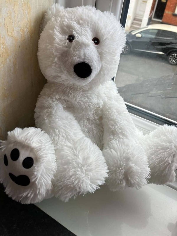 Polar Bear #24