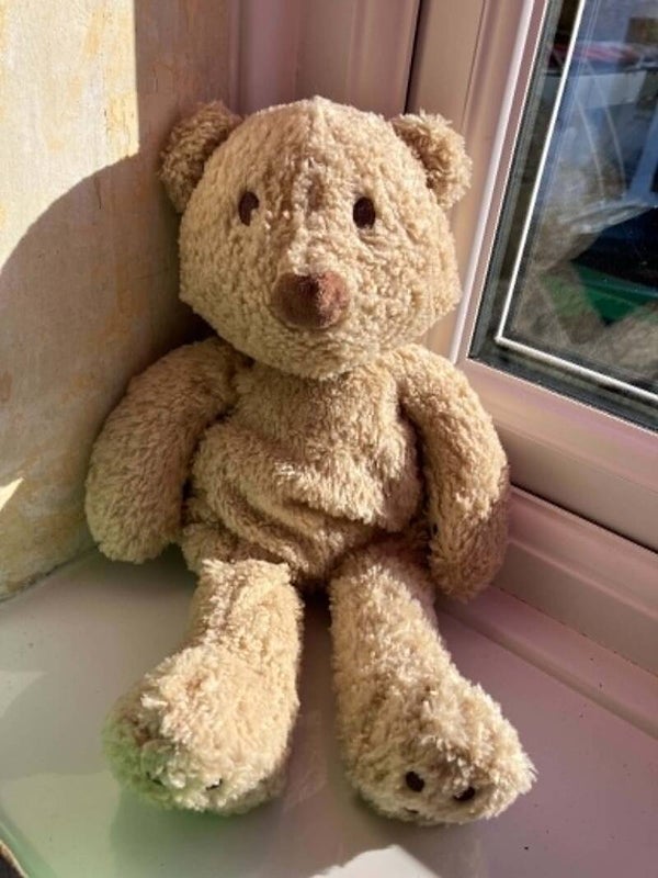 Bear #26