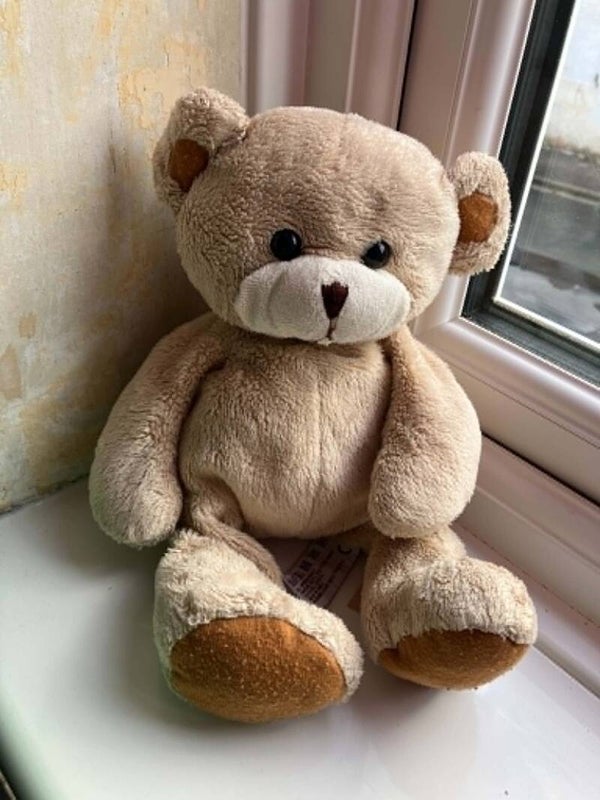 Bear #29
