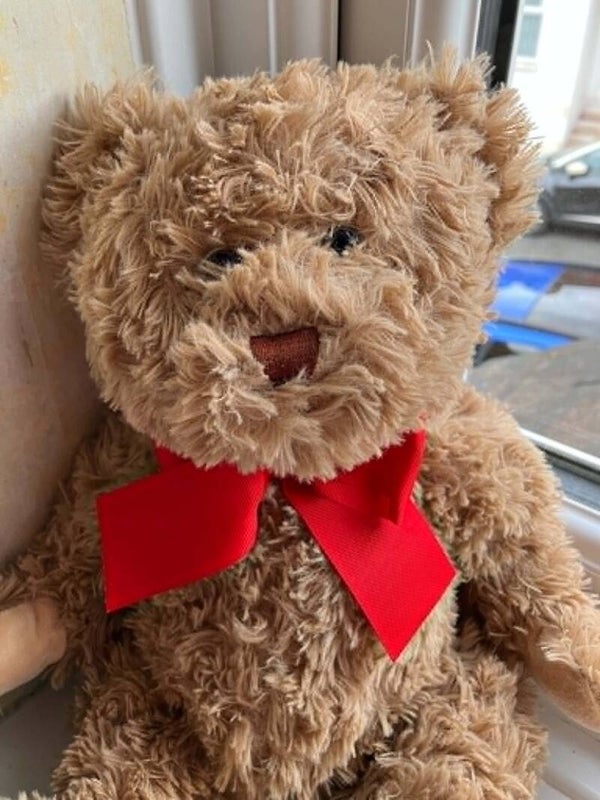 Bear #3
