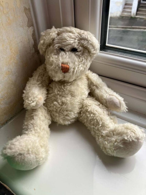 Bear #30