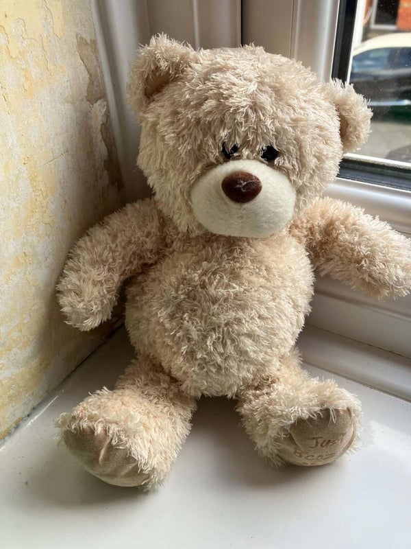 Bear #31