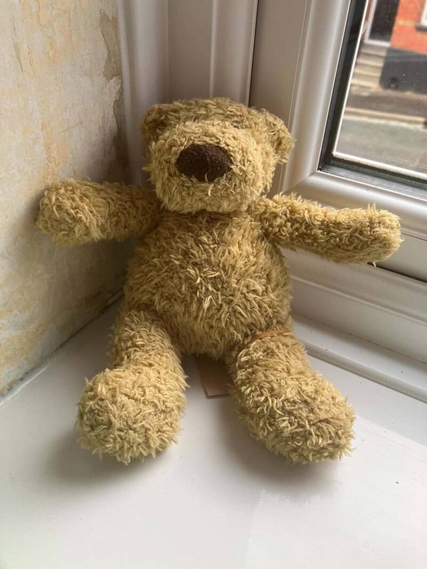 Bear #33