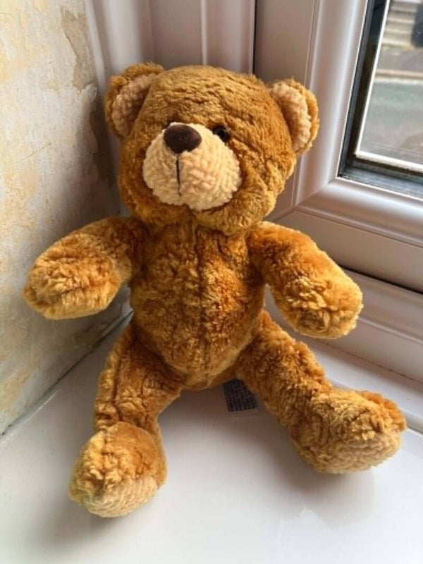 Bear #34