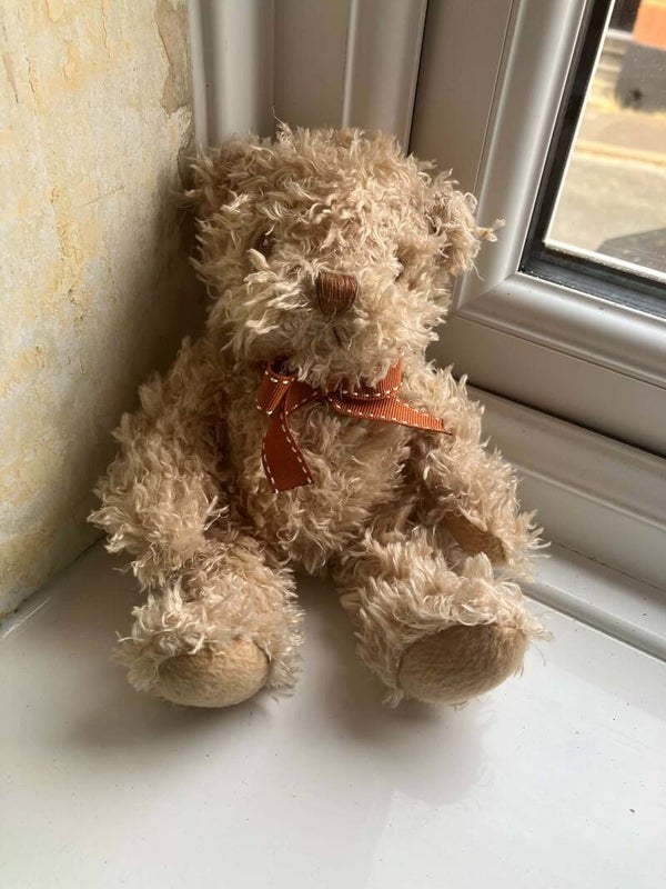 Bear #37