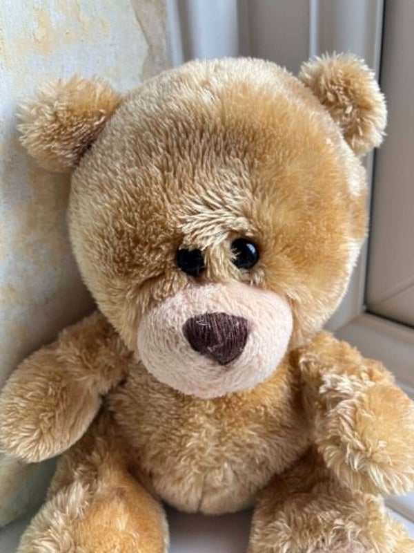 Bear #38
